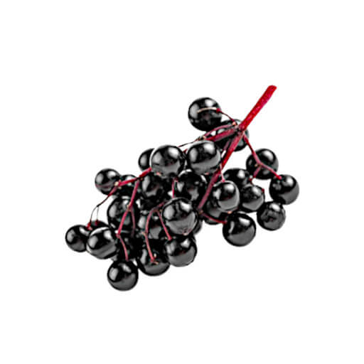 Holunderbeeren