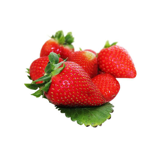 Erdbeere