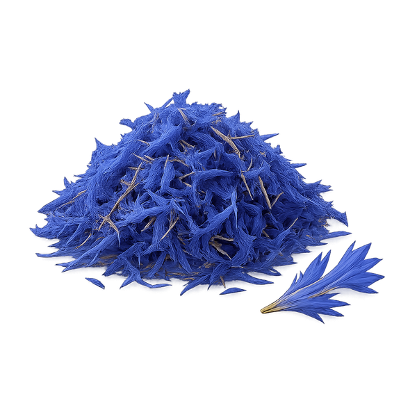 Kornblume