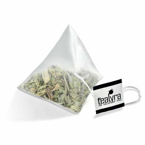 Menta de la Costa Pacífica