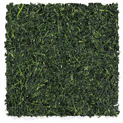 Yame Kabusecha Gyokuro