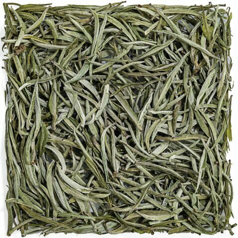 Darjeeling Silver Needle