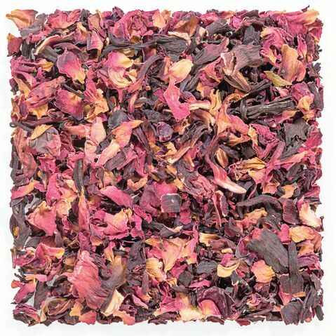 Luscious Hibiscus Rose