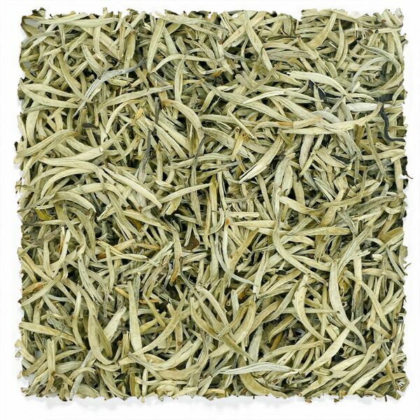 Yunnan Baihao Yinzhen „Silbernadel“