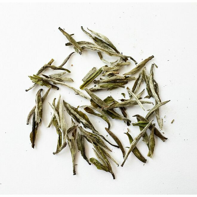 Imperial Fujian Silver White Needle