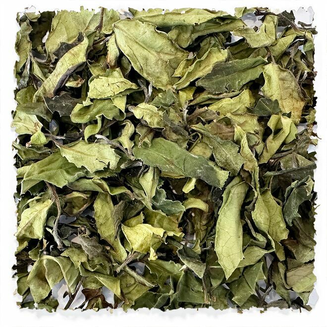 Jin Xuan White tea