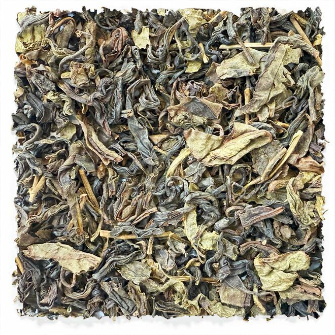 Ureshino Saga Japanese Oolong