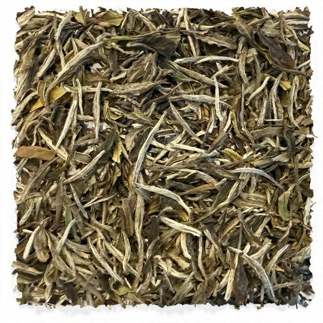 Pivoine blanche Tieguanyin Baicha