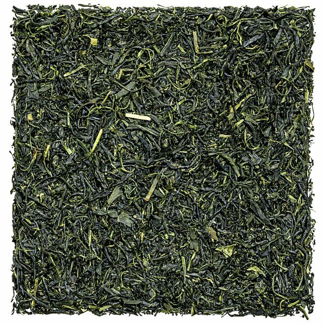 Gyokuro Ureshinocha